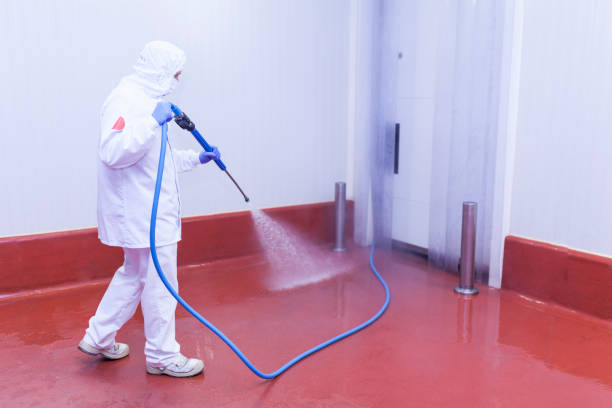 Boat and Dock Cleaning in Rogers, TX